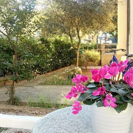Un Giardino Vicino Al Mare Apartment Bellaria-Igea Marina